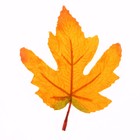 Декор «Осенний лист» набор 15 шт., размер 1 шт. — 9 × 11 × 0,2 см, цвет жёлто-оранжевый - фото 7444763