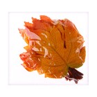 Декор «Осенний лист» набор 15 шт., размер 1 шт. — 9 × 11 × 0,2 см, цвет жёлто-оранжевый - фото 7444765