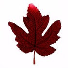 Декор «Осенний лист» набор 15 шт., размер 1 шт. — 9 × 11 × 0,2 см, цвет красный - фото 7444767