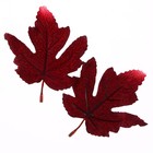 Декор «Осенний лист» набор 15 шт., размер 1 шт. — 9 × 11 × 0,2 см, цвет красный - фото 7444768