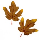 Декор «Осенний лист» набор 15 шт., размер 1 шт. — 9 × 11 × 0,2 см, цвет коричневый - фото 7444772