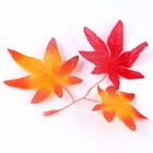 Декор «Осенняя веточка с листьями» набор 15 шт., размер 1 шт. — 13,5 × 13 × 0,2 см - фото 7444775