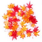 Декор «Осенняя веточка с листьями» набор 15 шт., размер 1 шт. — 13,5 × 13 × 0,2 см - фото 7444776