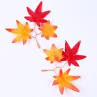 Декор «Осенняя веточка с листьями» набор 15 шт., размер 1 шт. — 13,5 × 13 × 0,2 см - Фото 4