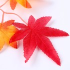 Декор «Осенняя веточка с листьями» набор 15 шт., размер 1 шт. — 13,5 × 13 × 0,2 см - фото 7444778