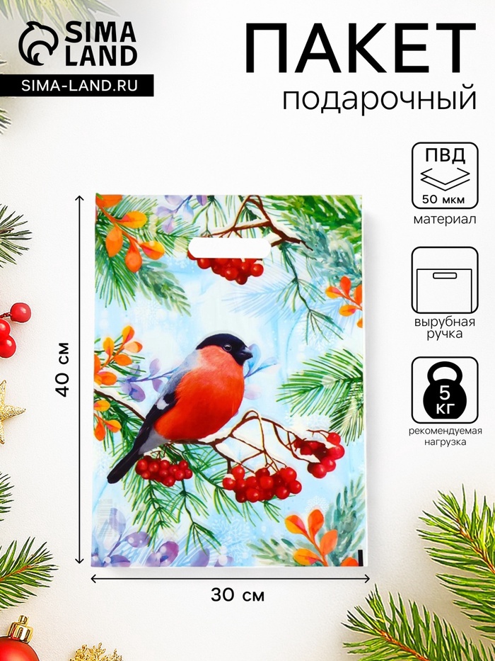 Пакет подарочный новогодний «Снегирь на ветке рябины», полиэтиленовый с вырубной ручкой, 30×40 см - Фото 1