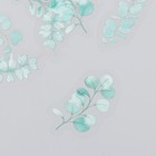 Наклейки для творчества пластик "Эвкалипт" набор 40 шт 0,2х10х15 см - фото 24259000