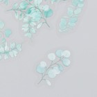 Наклейки для творчества пластик "Эвкалипт" набор 40 шт 0,2х10х15 см - фото 24259001