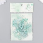 Наклейки для творчества пластик "Эвкалипт" набор 40 шт 0,2х10х15 см - фото 24259002