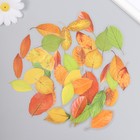 Наклейки для творчества пластик "Осенние листья" набор 40 шт 0,3х8х14,8 см - фото 3243125