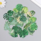 Наклейки для творчества пластик "Пальмовые листья" набор 40 шт 0,3х8х14,8 см - фото 320065594