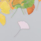 Наклейки для творчества пластик "Листья Гинкго" набор 40 шт р-р 4-5 см - фото 22784538