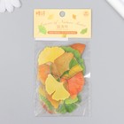 Наклейки для творчества пластик "Листья Гинкго" набор 40 шт р-р 4-5 см - фото 22784539