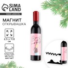 Магнит-открывашка новогодний «За любовь» на Новый год на Новый год, 2,5 х 11,8 х 2,5 см 9486088 - фото 312715121