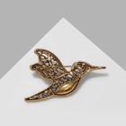 Брошь «Птица» колибри, цвет чернёное золото - фото 19918144