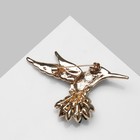Брошь «Птица» колибри, цвет чёрный в золоте - Фото 2