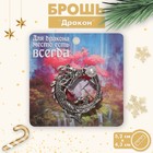 Брошь "Дракон" жемчужный шар, цвет белый в чернёном серебре 9618599 - фото 10486908