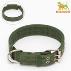 Ошейник четырехслойный, 64×4 см, ОШ 50-58 см, полиэстер, зелёный - Фото 2