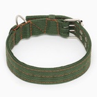 Ошейник четырехслойный, 64×4 см, ОШ 50-58 см, полиэстер, зелёный - Фото 3