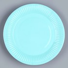 Одноразовая посуда: тарелка бумажная «Мятный»,однотонная, 18 см - Фото 2