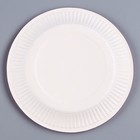 Одноразовая посуда: тарелка бумажная «Мятный»,однотонная, 18 см - Фото 4