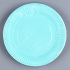 Одноразовая посуда: тарелка бумажная «Мятный»,однотонная, 18 см - Фото 5