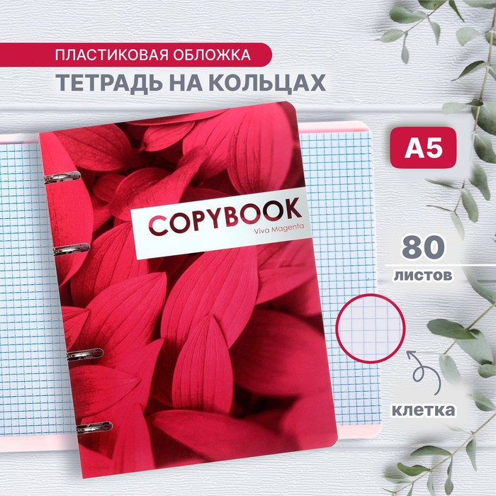 Тетрадь на кольцах, в клетку, 80 листов CoopyBook. VivaMagenta, пластиковая обложка, блок офсет - Фото 1