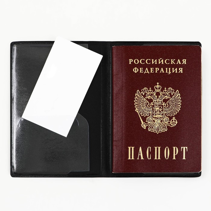 Обложка для паспорта «Мир», искусственная кожа