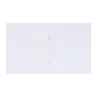 Тетрадь для скетчей А5, 16 листов на скрепке "Аниме", обложка мелованный картон, блок 100 г/м2 - фото 7347930