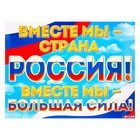 Плакат "Мы вместе - Россия!" радуга, 44,5х60 см - фото 283350292