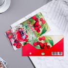 Конверт для денег "Поздравляем!" ягоды, 17х8 см 9935219