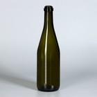 Бутылка «Шампань-классик», стеклянная, 750 мл, цвет оливковый - фото 11044291