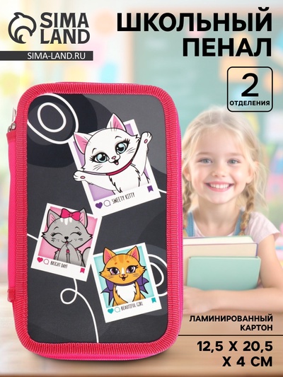 Пенал школьный, 2 секции, 12.5×20.5×4 см «Котята»