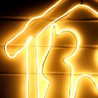 Неоновая фигура «Рождественский вертеп», 85 × 75 см, 896 LED, 220 В, свечение тёплое белое - фото 7348024