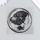 Штамп для творчества силикон "Девушка в морском пузыре" 10х10 см - фото 7365137