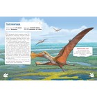 Книга с наклейками «Летающие хищники», Бурцева Н. - Фото 3