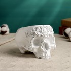 Подставка для мелочей "Череп с орнаментом" белая, 13х17х11см - фото 22832605