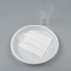 Набор одноразовой посуды «Пикник» 6 персон, тарелки 20х21 мм, стаканы 200 мл, вилки, ножи, с - фото 320071470