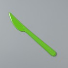 Нож одноразовый "Буфет" салатовый, 18 см - Фото 1