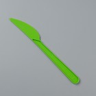 Нож одноразовый "Буфет" салатовый, 18 см - Фото 2