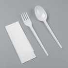 Набор одноразовой посуды «Белый» вилка, ложка, салфетка, 16,5 см - фото 10985299