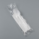 Набор одноразовой посуды «Белый» вилка, ложка, салфетка, 16,5 см - фото 24361135