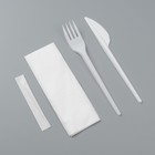 Набор одноразовой посуды «Белый» вилка, нож, зубочистка, салфетка, 16,5 см - фото 10985302