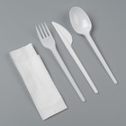 Набор одноразовой посуды «Белый» вилка, ложка, нож, салфетка, 16,5 см - фото 320071523