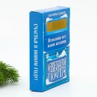 Подарочный набор новогодний, письмо Деду Морозу 4 шт., почтовый ящик, марки «Новогодняя почта» - Фото 4