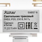Светильник трек-й ARTLINE повор-й 85x55mm GX53 230В алюм 4м² бел 59857 6 Ritter 9905125 - фото 319740692
