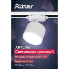 Светильник трек-й ARTLINE повор-й 85x55mm GX53 230В алюм 4м² бел 59857 6 Ritter 9905125 - фото 319740695