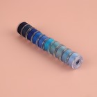 Набор шпулек с нитками, в органайзере, d = 20 мм, 10 шт, цвет синий спектр - Фото 5