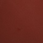 Круг абразивный шлифовальный под "липучку" ТУНДРА, 150 мм, Р2000, 5 шт. - фото 9608639