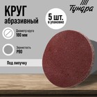 Круг абразивный шлифовальный под "липучку" ТУНДРА, 180 мм, Р80, 5 шт. 9422574 - фото 11924151